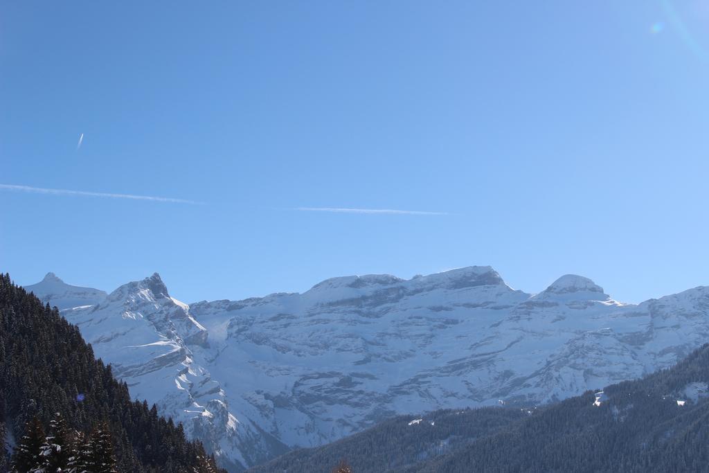 Apartamento Les Frenes Leysin Exterior foto